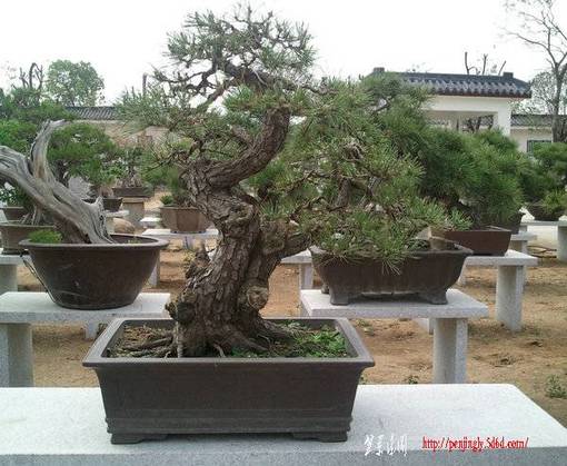 Ƭ0222.jpg
