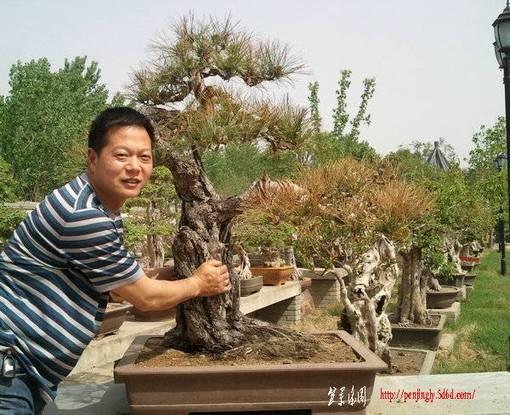 Ƭ0220.jpg