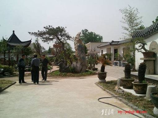 Ƭ0238.jpg