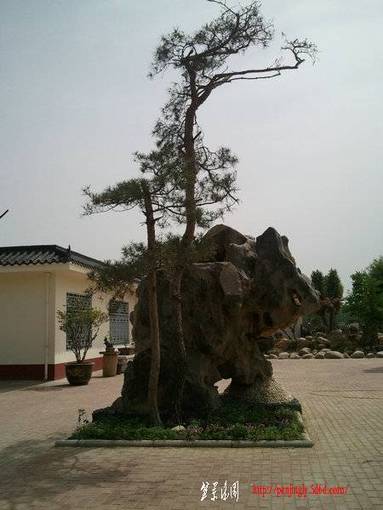 Ƭ0233.jpg