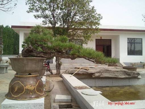 Ƭ0228.jpg
