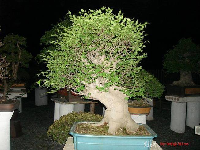 ˼.JPG