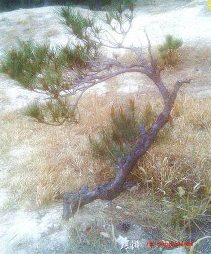 IMAG0042_.jpg