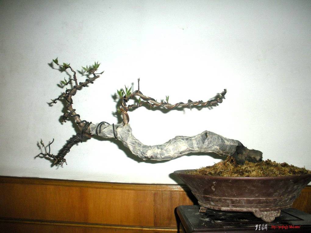 2011.4.7 046.jpg