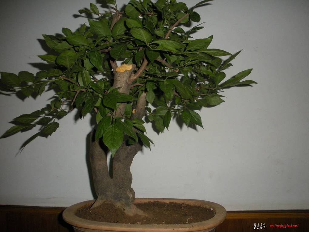 2011.4.7 048.jpg
