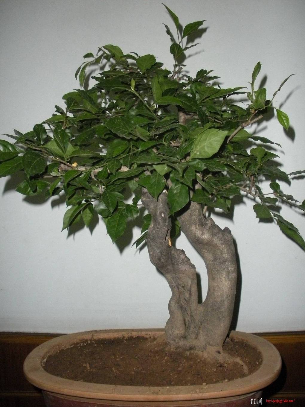 2011.4.7 047.jpg