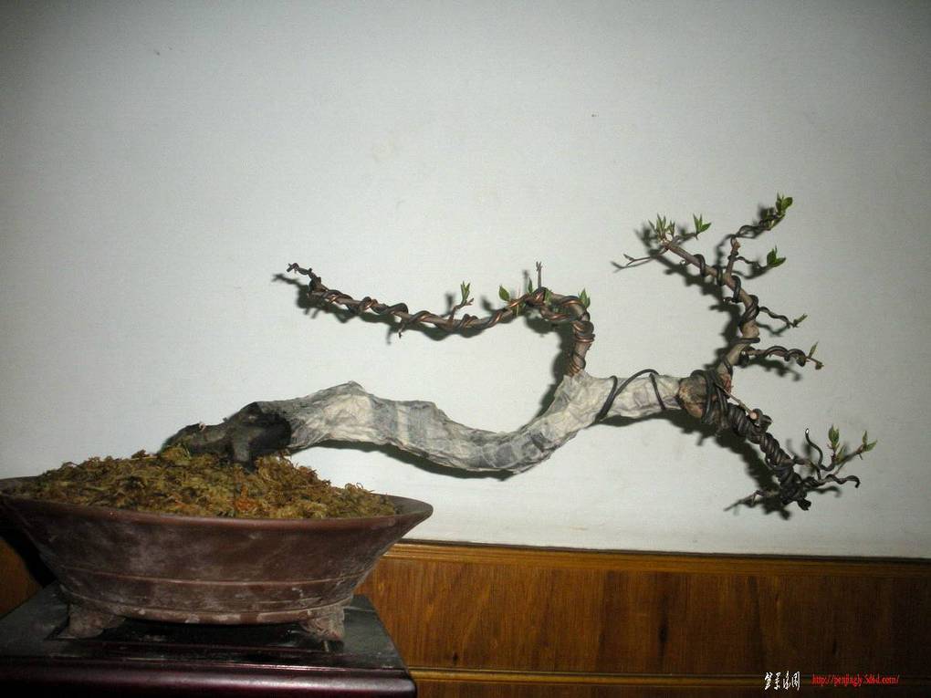 2011.4.7 045.jpg