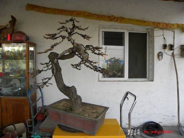 DSCN1905.jpg