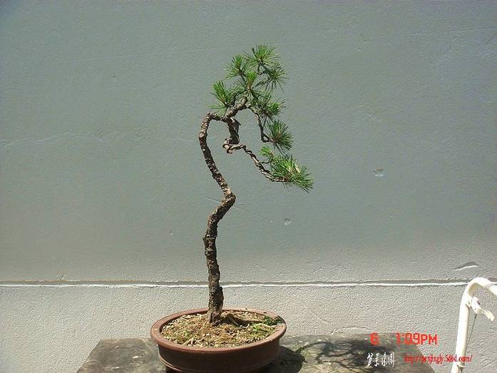 DSC00094_.jpg