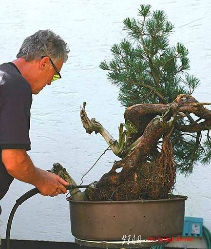 2007_07_dsc_2959v.jpg
