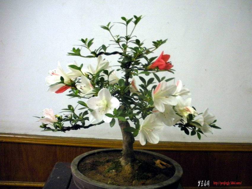 2011.510 004.jpg