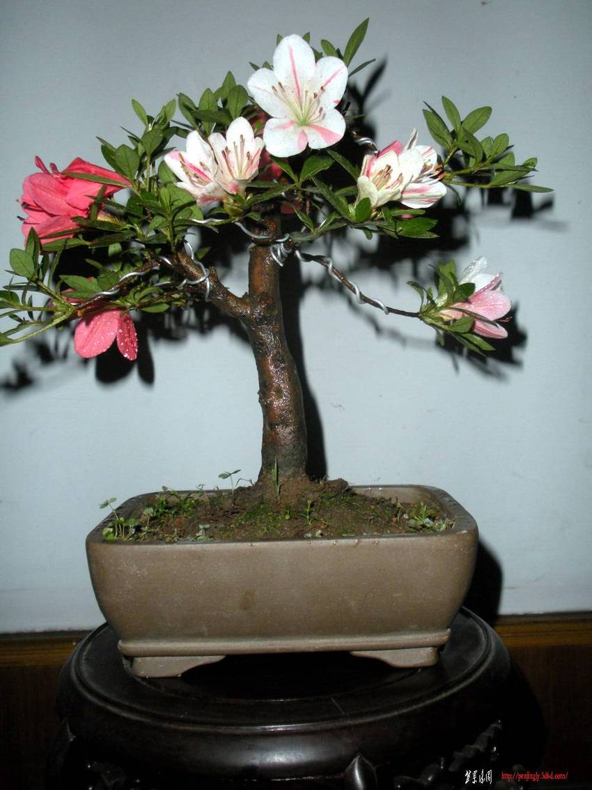 2011.510 001.jpg
