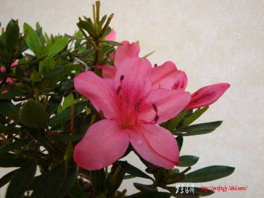 DSC04809.JPG