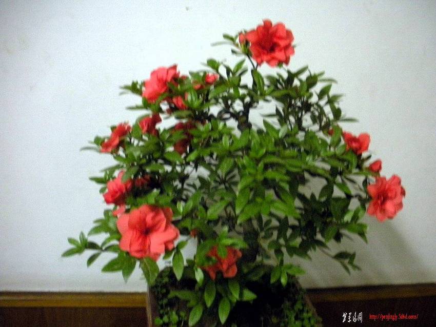 DSCN0824.jpg