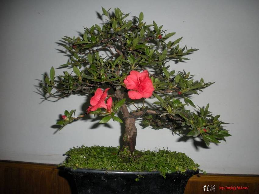 2011.510 024.jpg