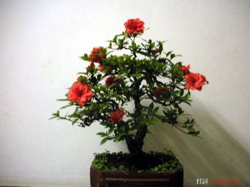 2011.510022.jpg