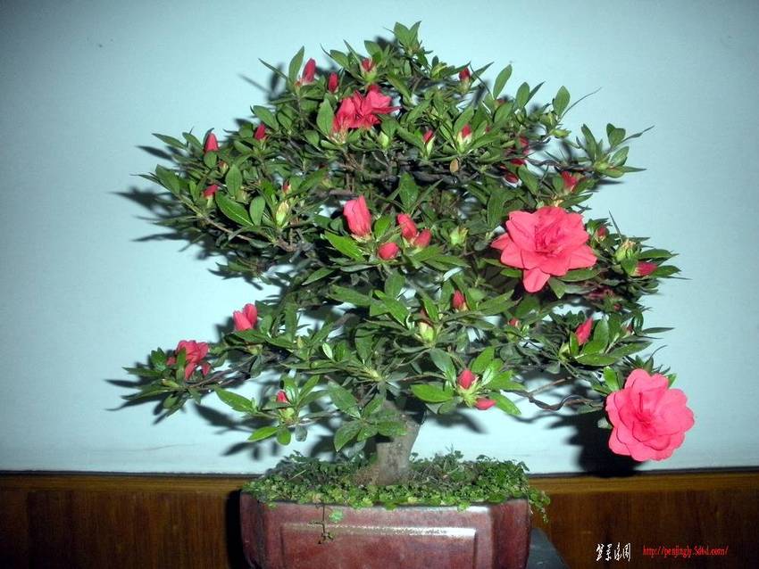 2011.510 030.jpg