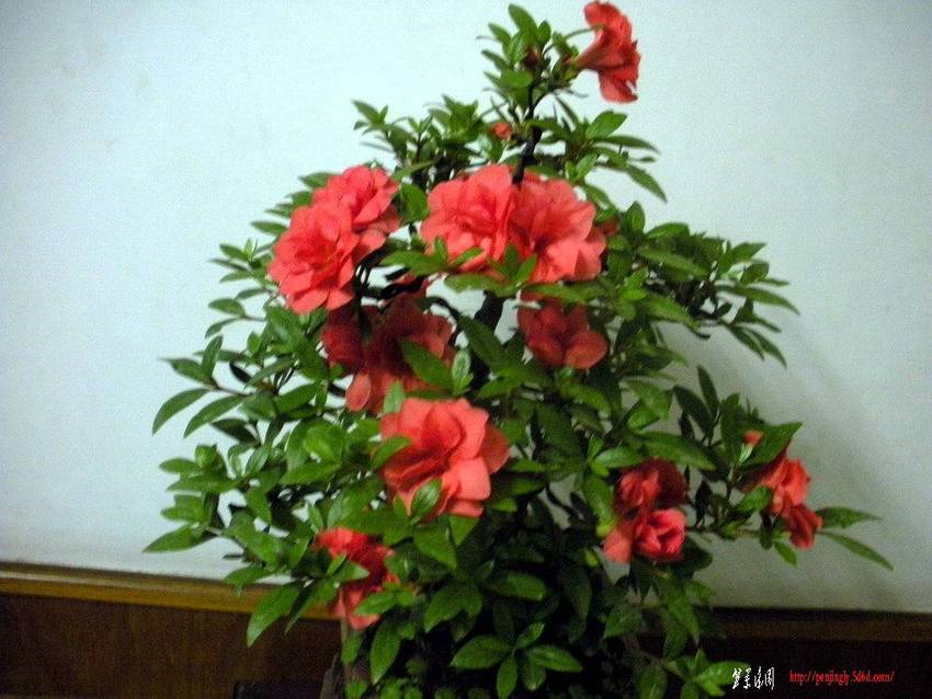 DSCN0822.jpg