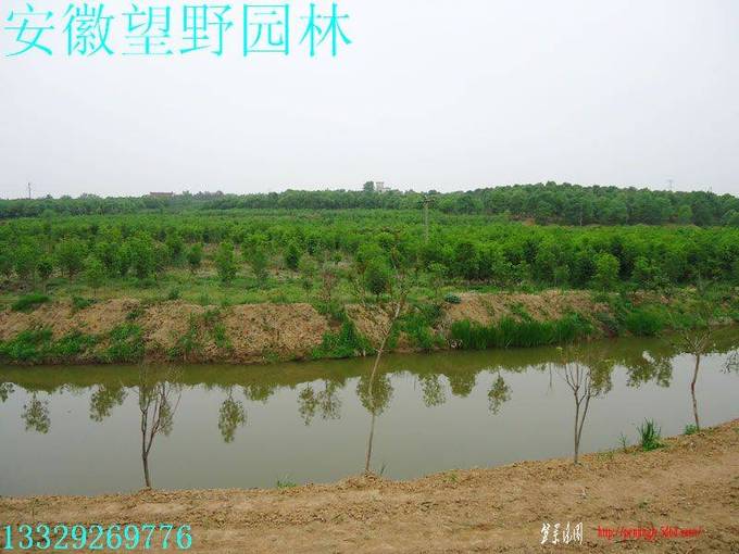 DSC01272.jpg