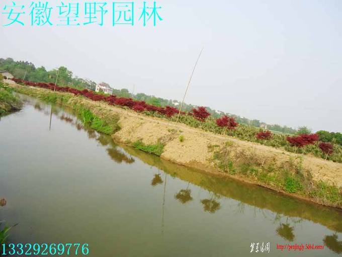 DSC00856.jpg