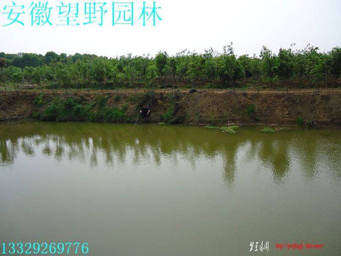 DSC00772.jpg