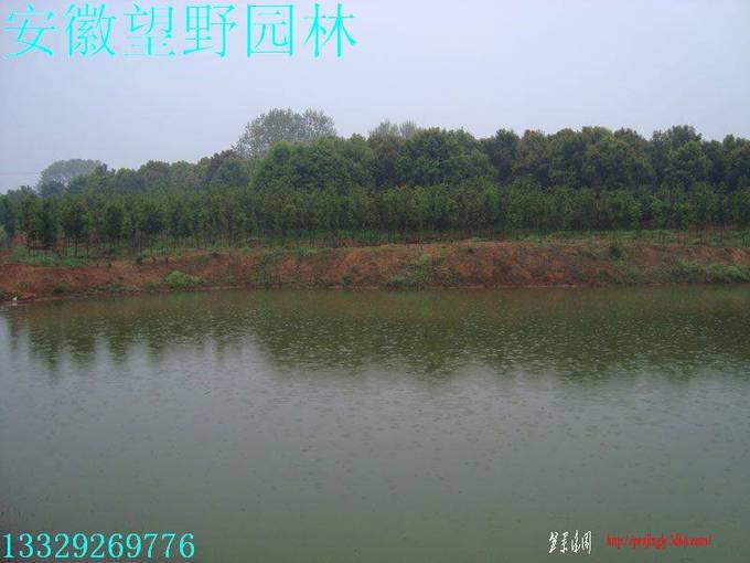 052.jpg