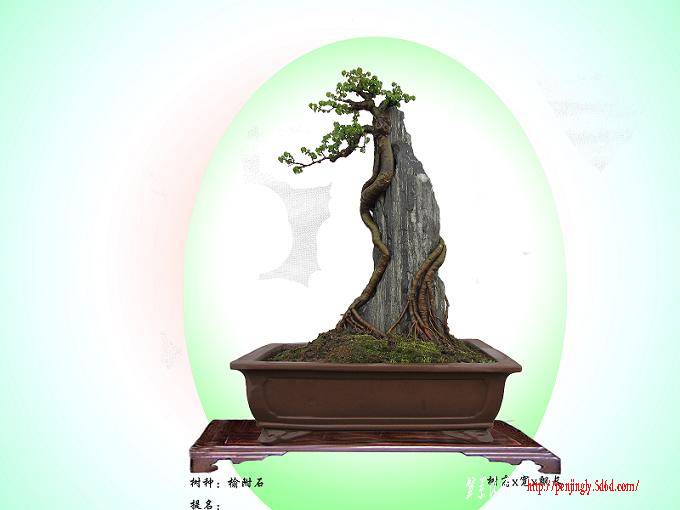  ܸʯ.jpg