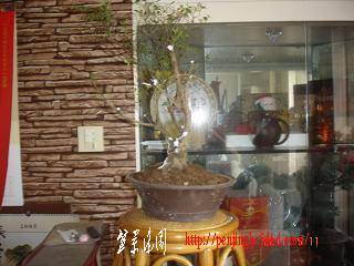 DSC01413.JPG