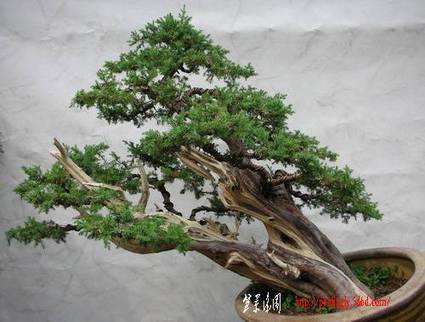 2006��8��12�ճ���������