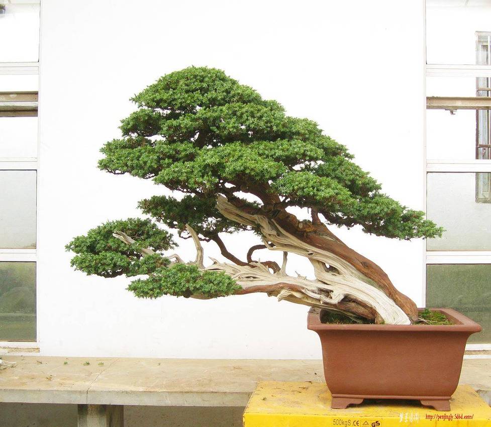 2010��9��5����θ�����