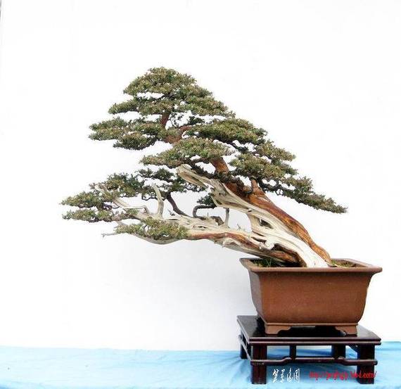 2009��1��5���Ĵθ�����