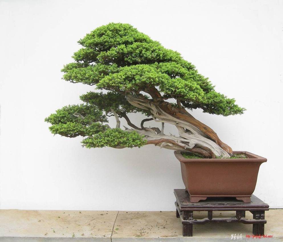 2011��5��11�����θ�����