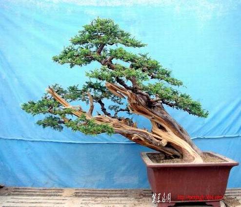 2007��3��28�ն��θ�����