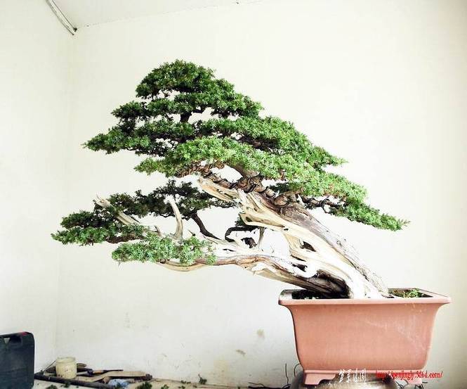 2008��8��20�����θ�����