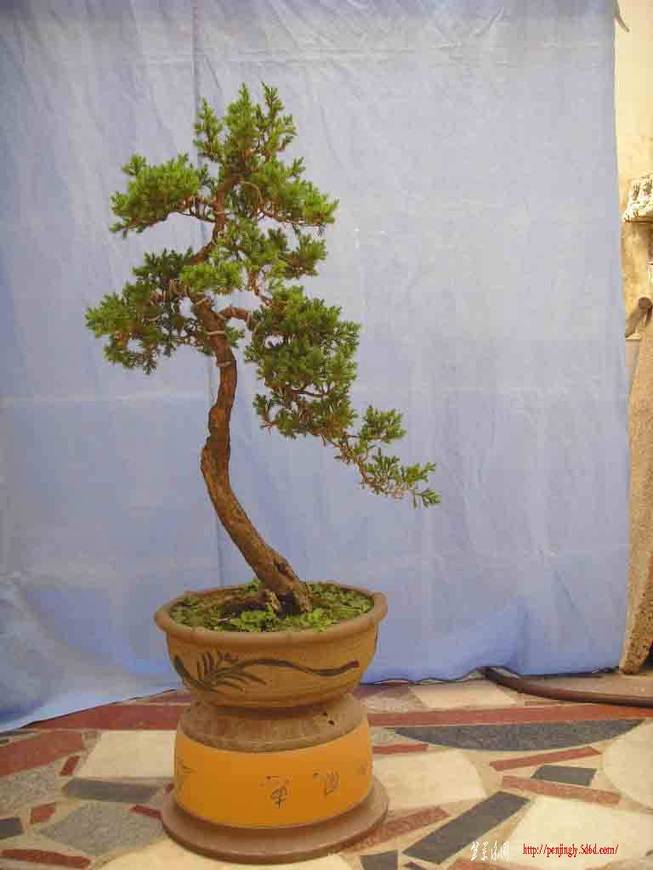 SDC12080.JPG