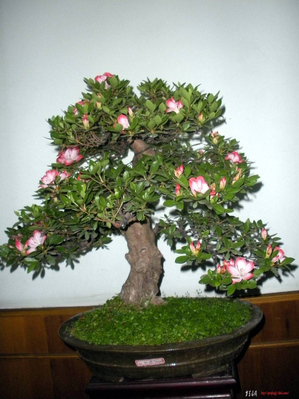 2011.510 040.jpg
