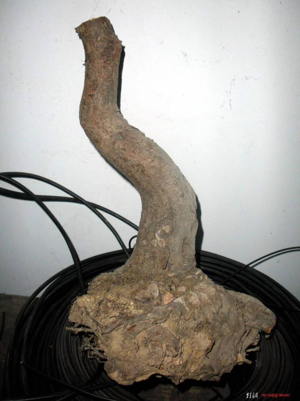 2011.510 036.jpg