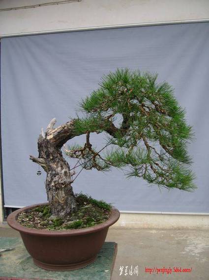 2011514ԭˮ.jpg