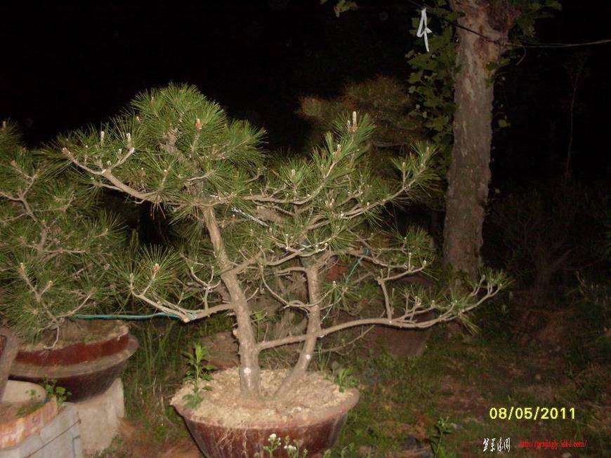 SDC10364.JPG