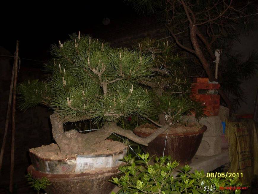 SDC10367.JPG