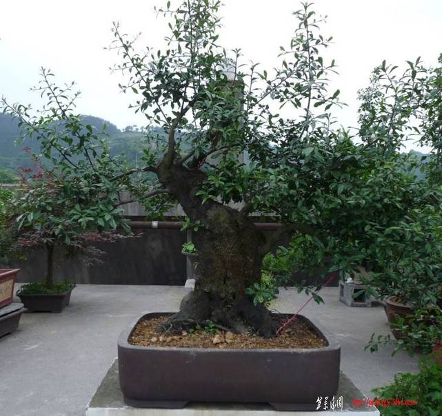 ĸ4.jpg