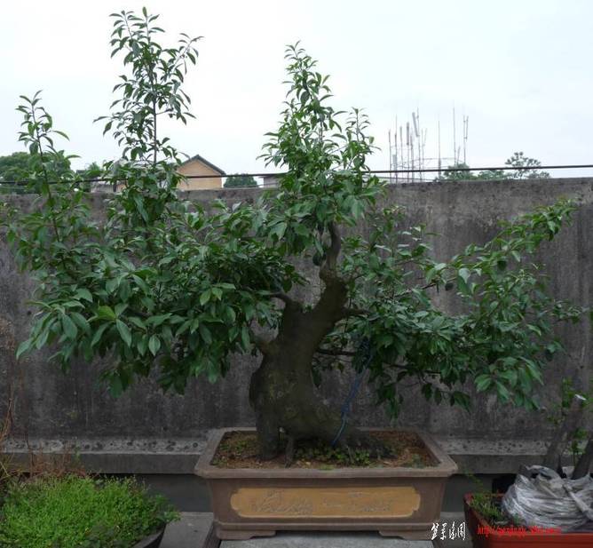ĸ2.jpg