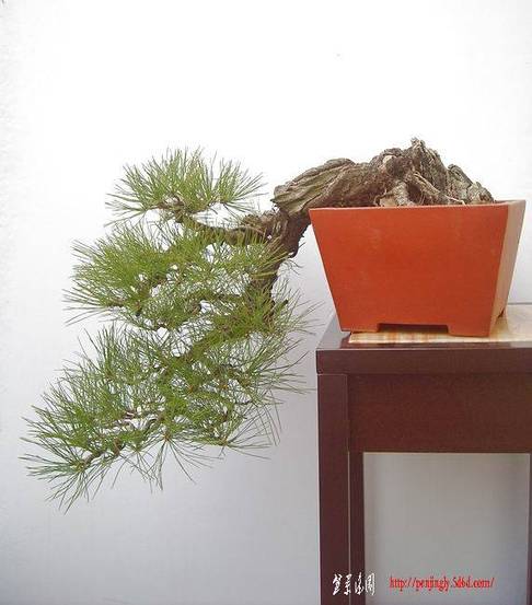 DSCN1255.JPG