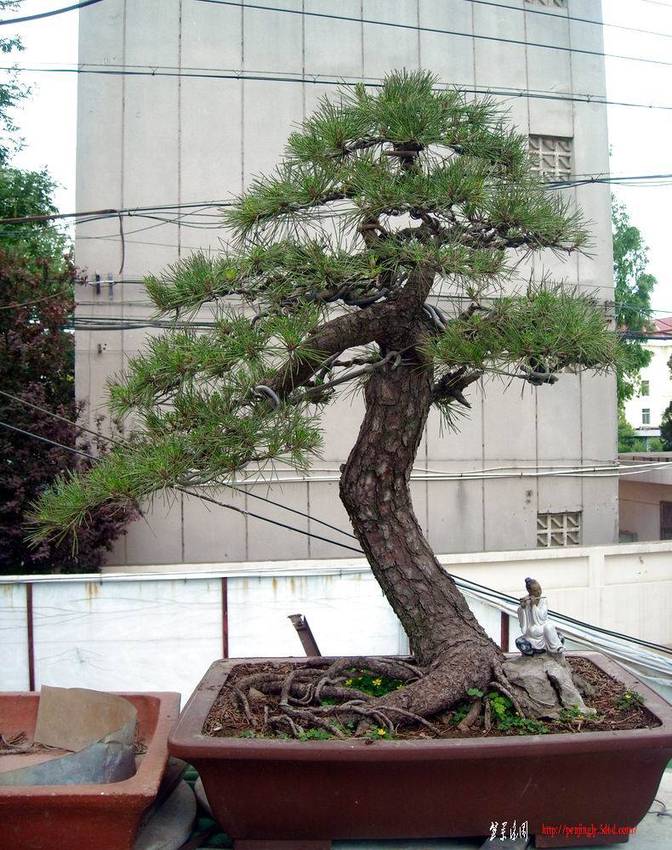 DSCN1293.JPG
