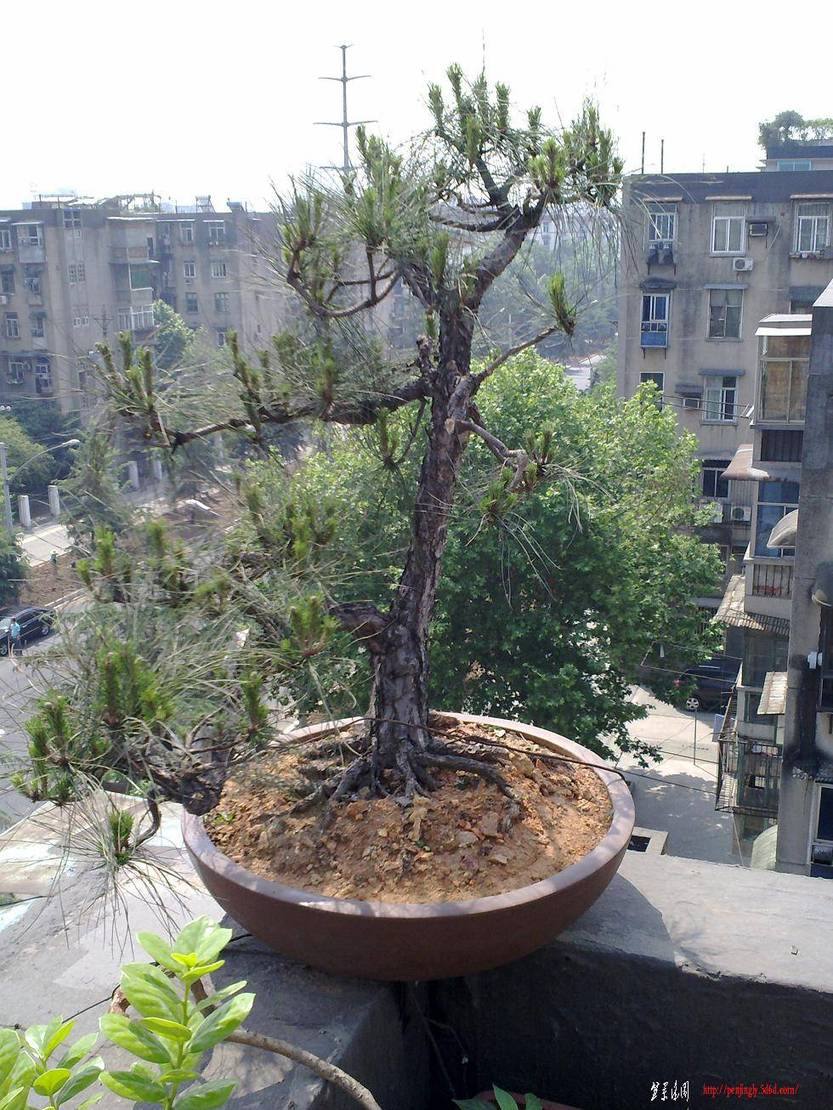 20110515337.jpg