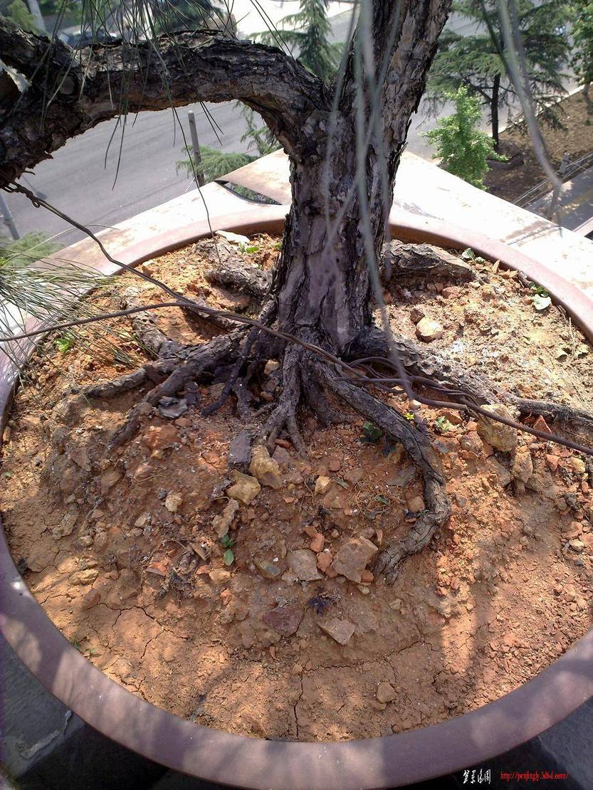 20110515321.jpg