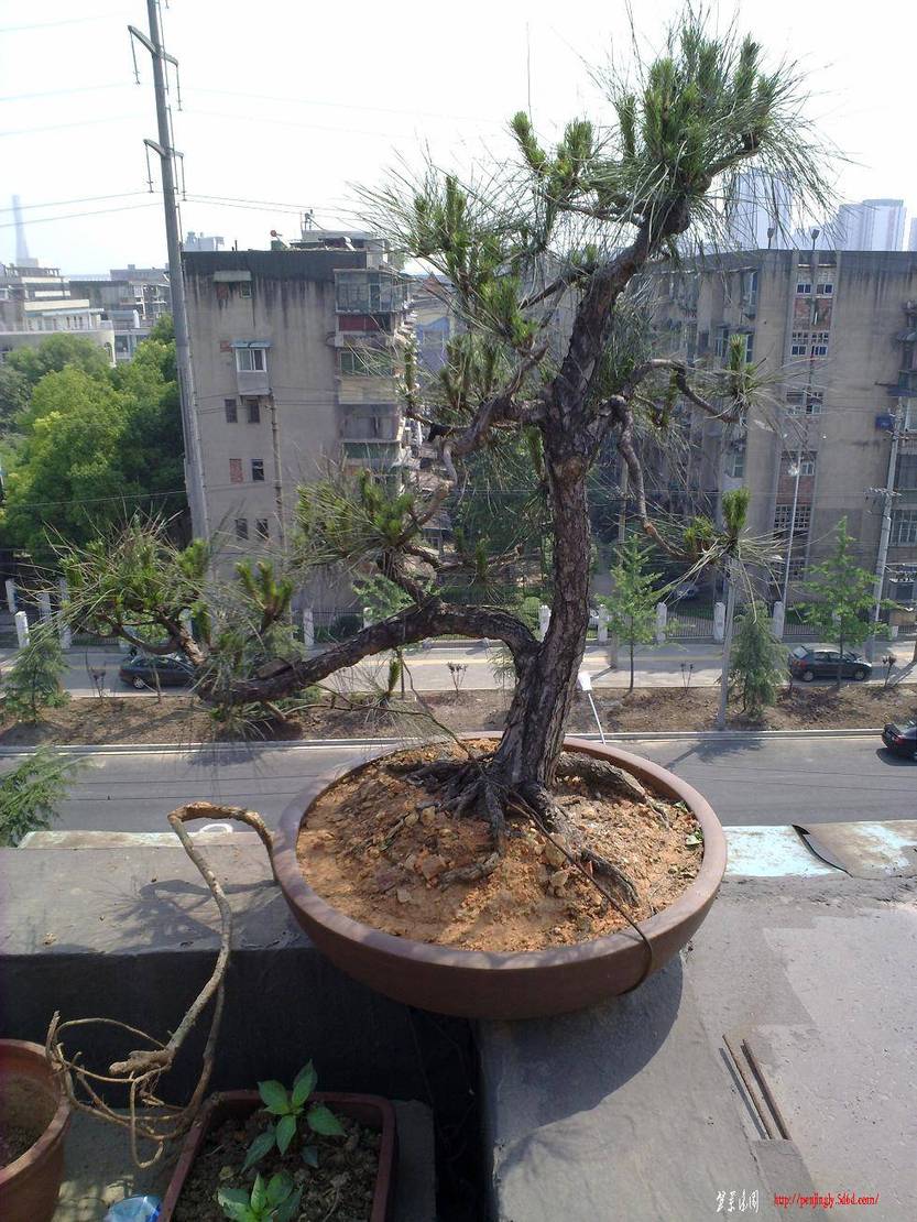 20110515322.jpg