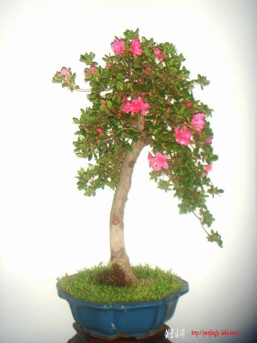 ľ9.JPG