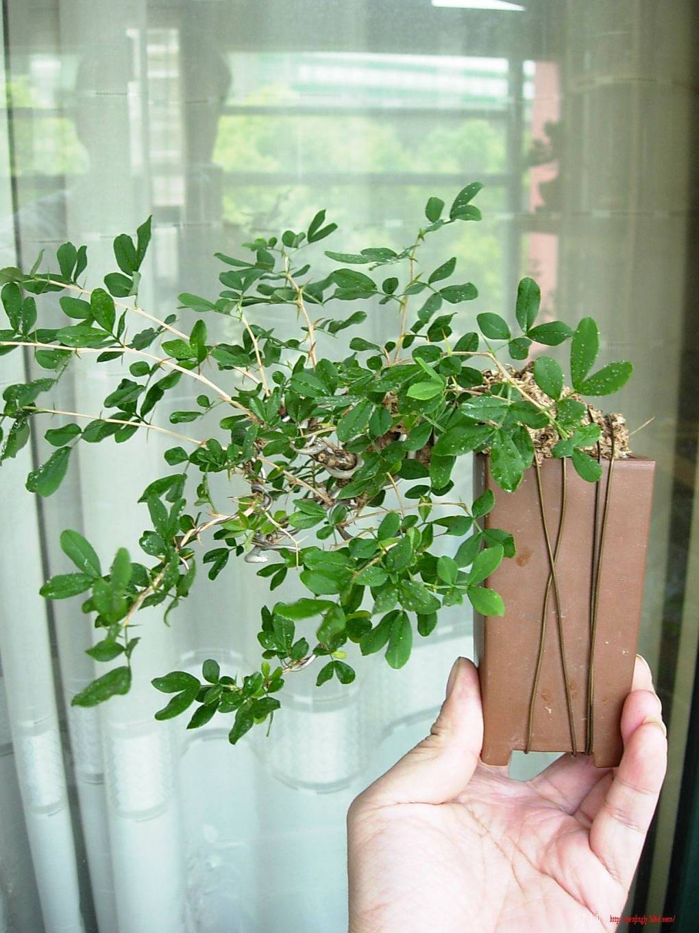 DSCN5726.JPG