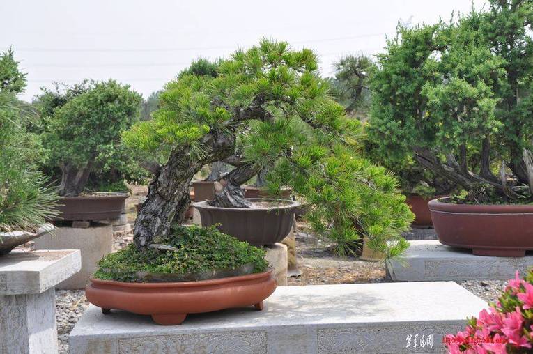 ҵ辰 041.jpg